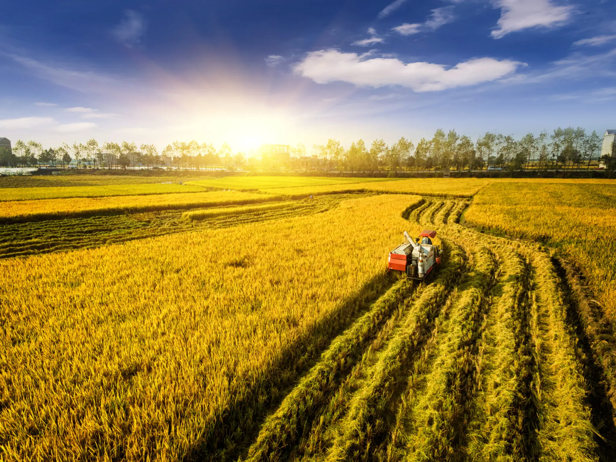 Biochar Production Benefits Crop