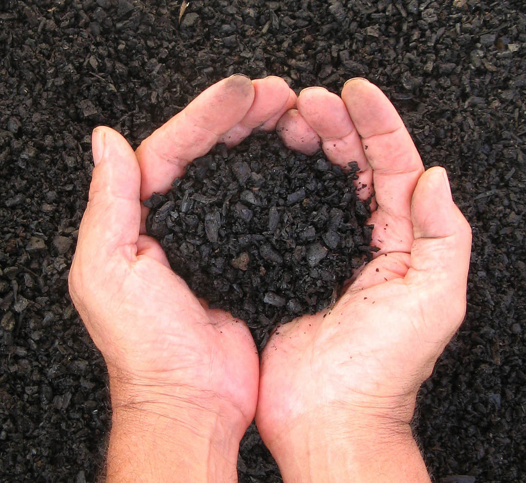 Biochar Production