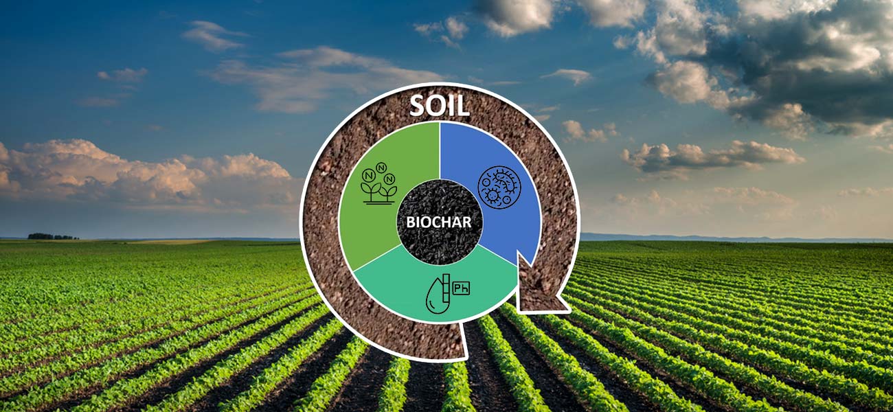 Biochar Applied for Soil Improvement