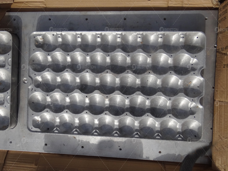 Apple Tray Mold for Apple Tray Production